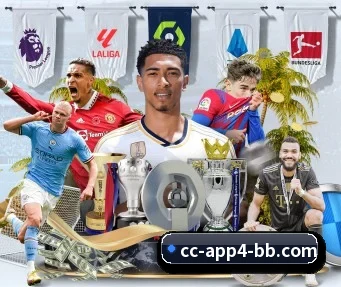 贝博体育 APP（BEIBOSPORTS）